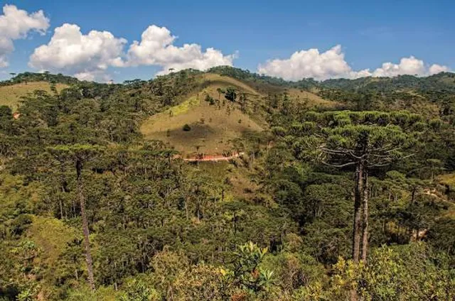 Mananciais de Campos do Jordão State Park