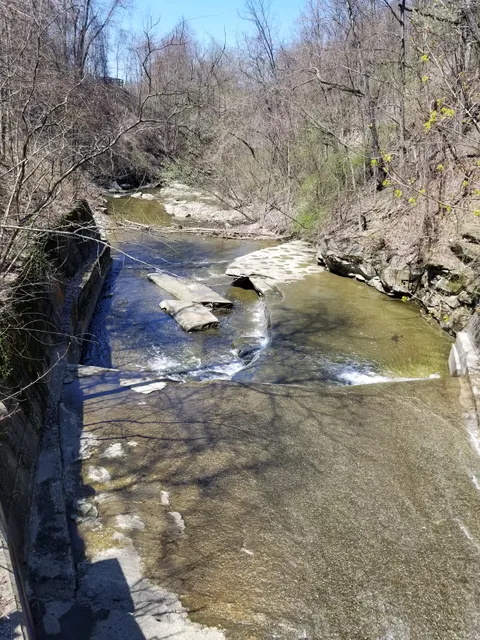 Rear Quarry Reservation Picnic Area
