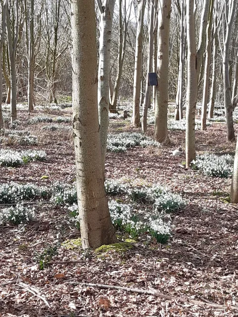 Struunpad Koekangerveld