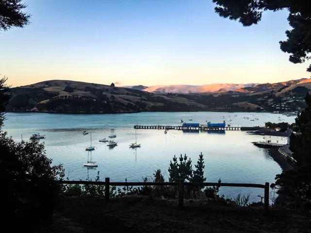 Swimming with Dolphins