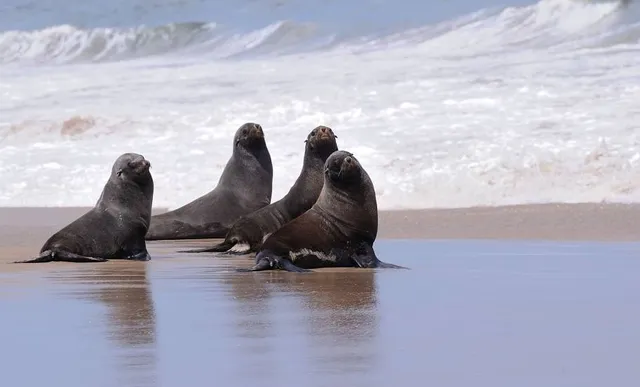 Hawaiʻi Kai Golf Course