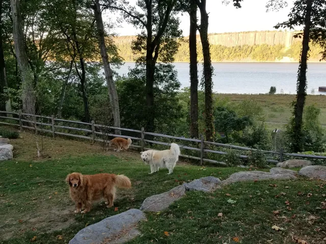 DAK ENTERPRISES INC. SINCLAIR GAS