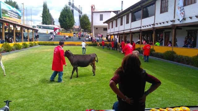 photo-3