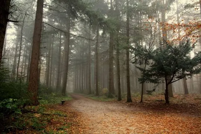 Muziekinstrumentenmuseum Villa Vosbergen