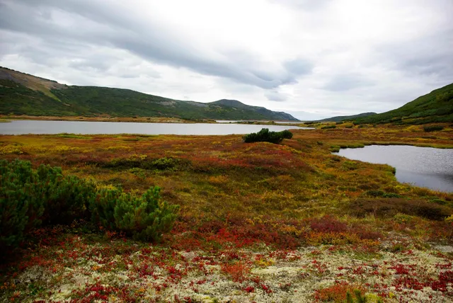 Nature Park "Volcanoes of Kamchatka"