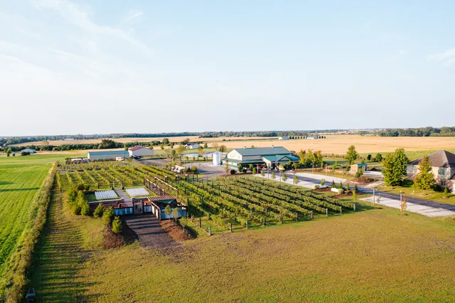 The Barn & Vineyard