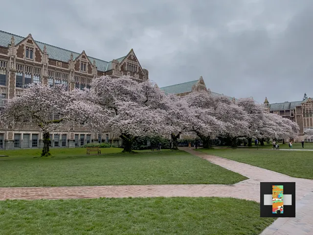 The Quad - University of Washington