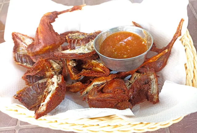 MS Restro With Kalij Farm