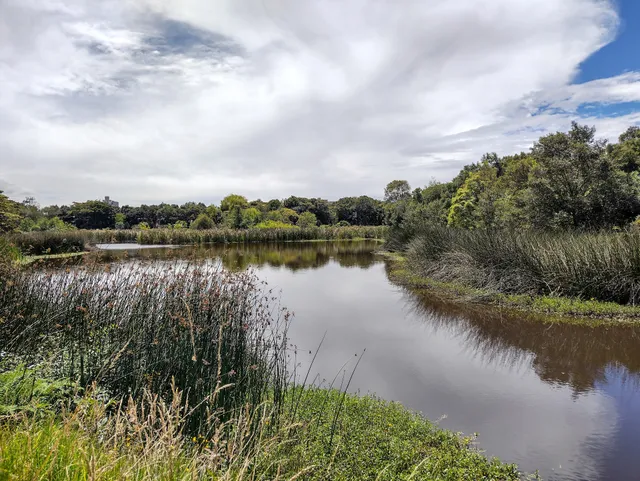 Humedal Santa María del Lago
