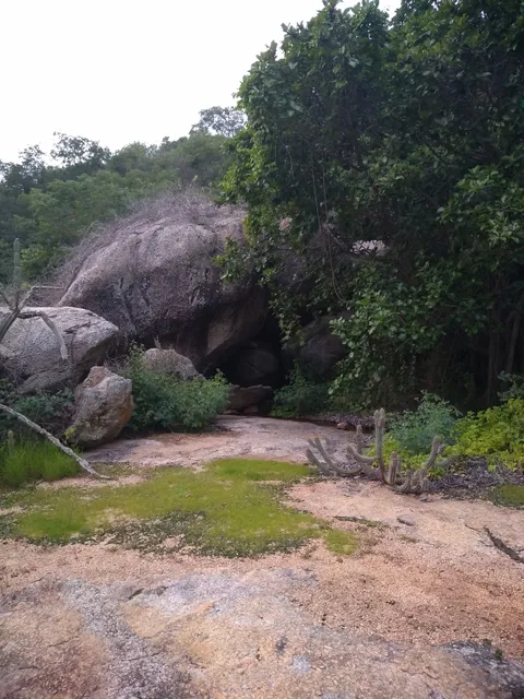 photo-1