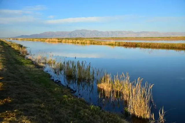 Bear River Migratory Bird Refuge