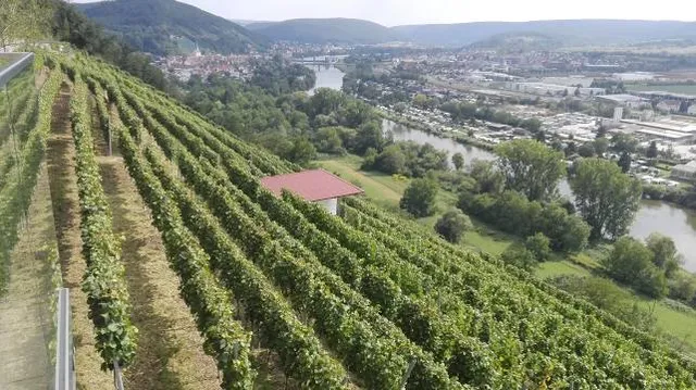 Terroir f Churfranken - Weinterrassen