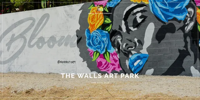 The Walls Art Park