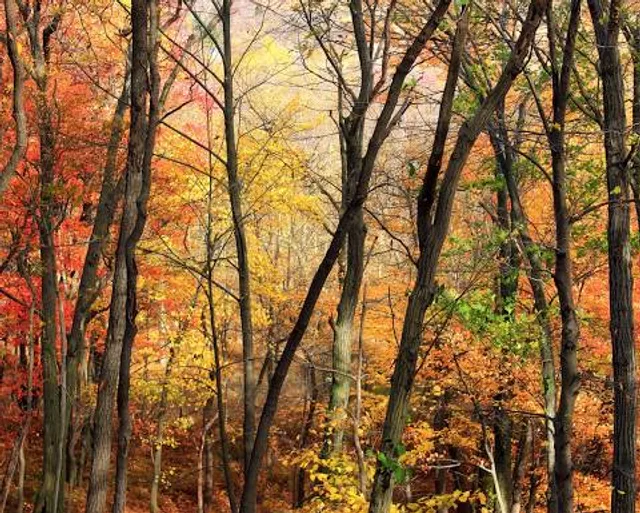 Lehigh Gap Nature Center