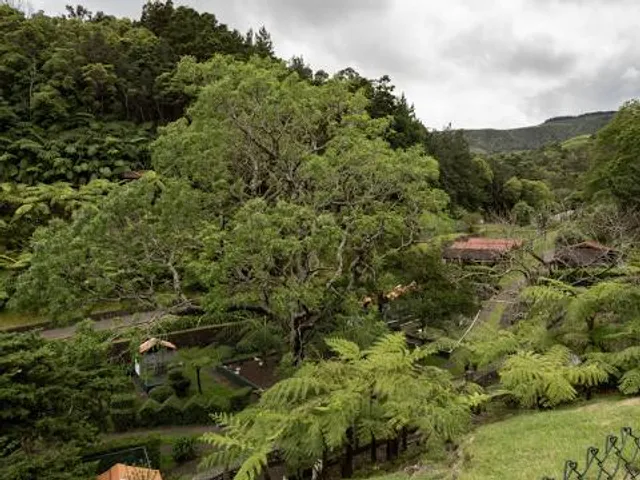 Recreational Forest Reserve "Luís Paulo Camacho"
