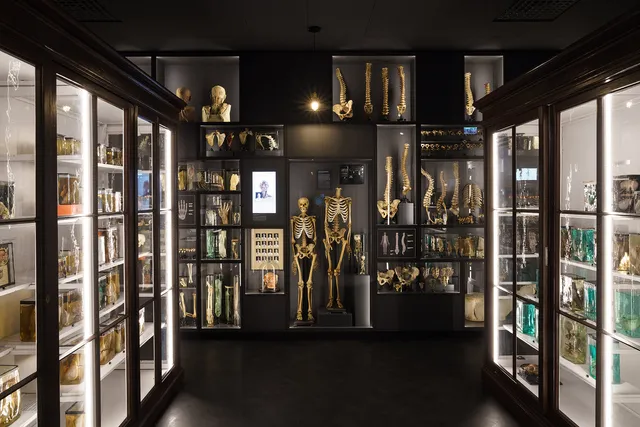 RSU Anatomy Museum