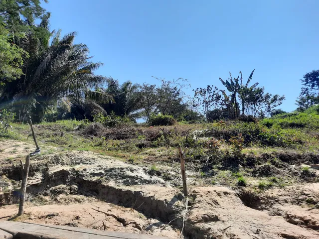 Municipio San Lorenzo