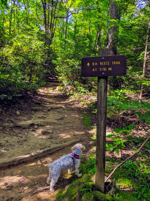 Byron Reece Trailhead Parking