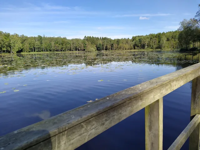 photo-1