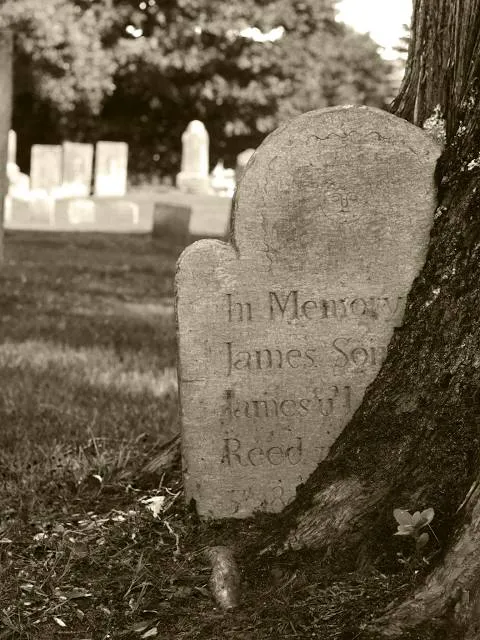 Croom Wildlife Management Area