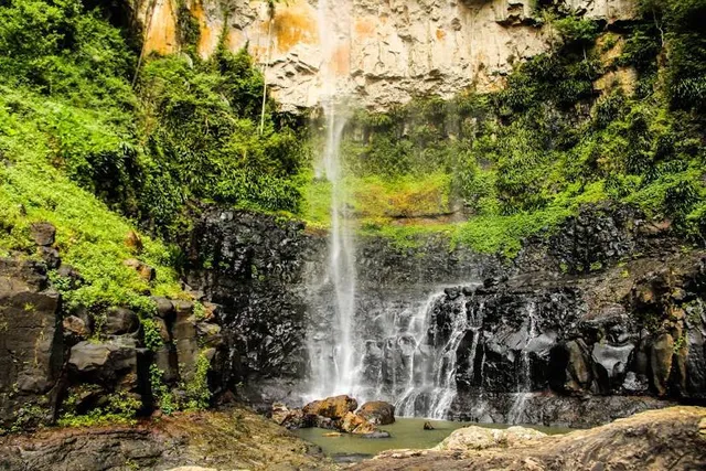 Purling Brook Falls, Springbrook National Park