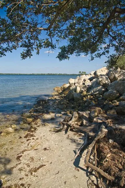 Desoto Park