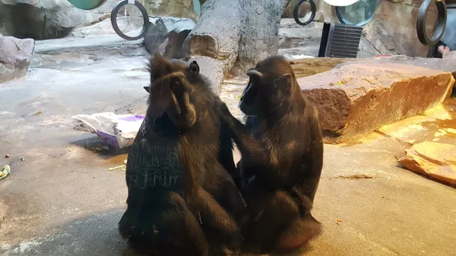 Expedition Madagascar