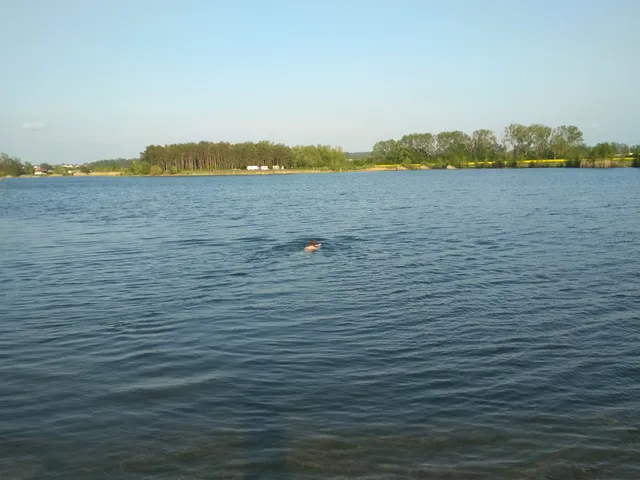 Opatovický písník