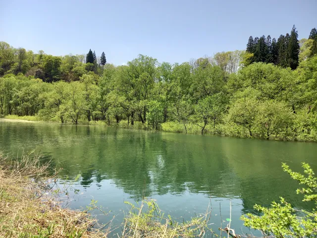 ゲンリュウノモリセンター