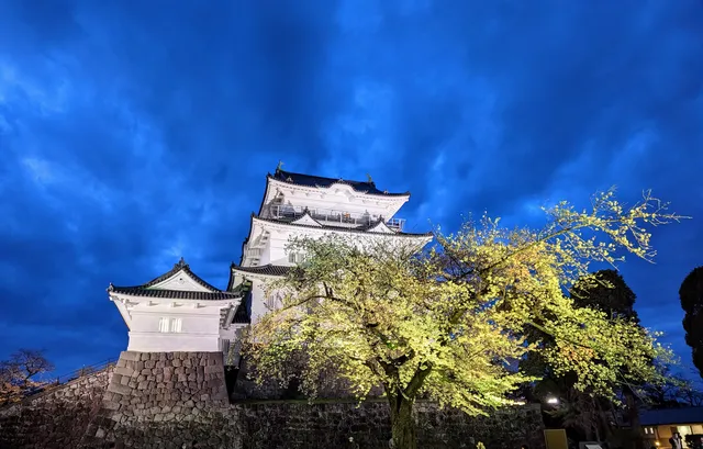 Odawara Castle Tower