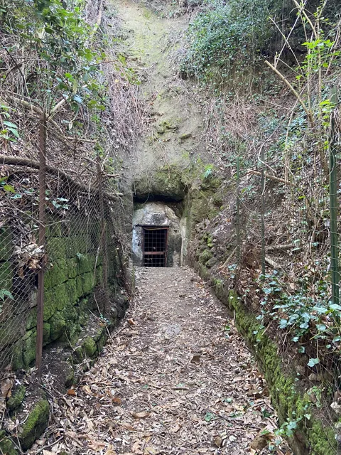 Grotto della Sibilla