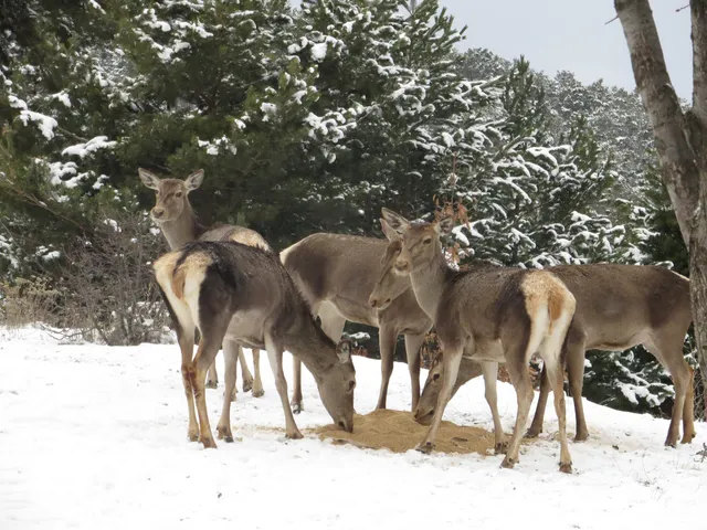Kadıpınarı Tabiat Parkı