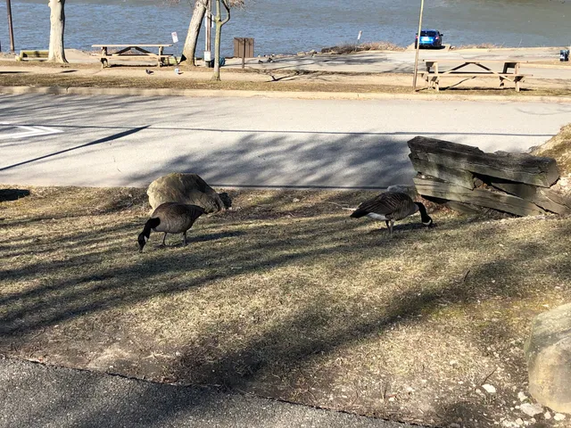 Southside Riverfront Park