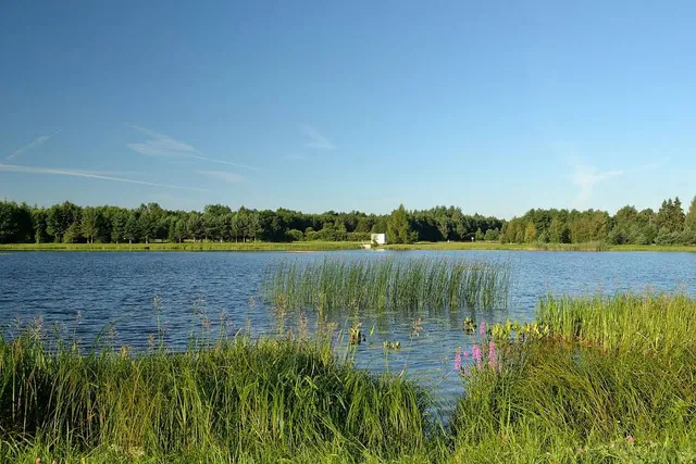 Kaunissaare veehoidla