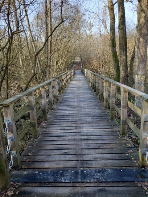 Brücke Moorwanderweg
