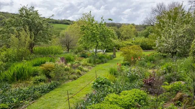Dyffryn Fernant Garden