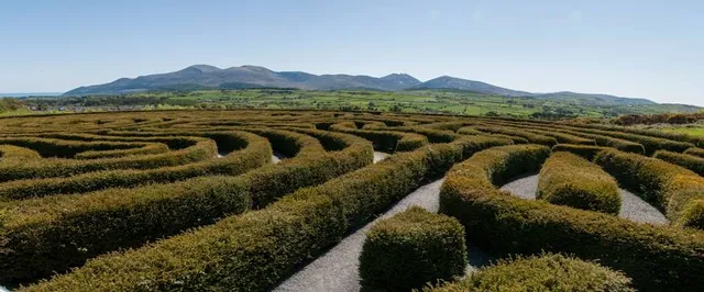 The Peace Maze