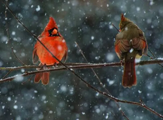 Парк імя Суворава