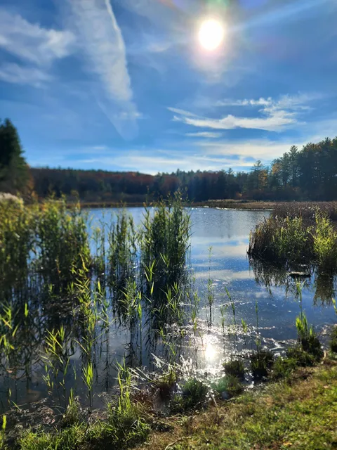 Wilson M. Powell Wildlife Sanctuary