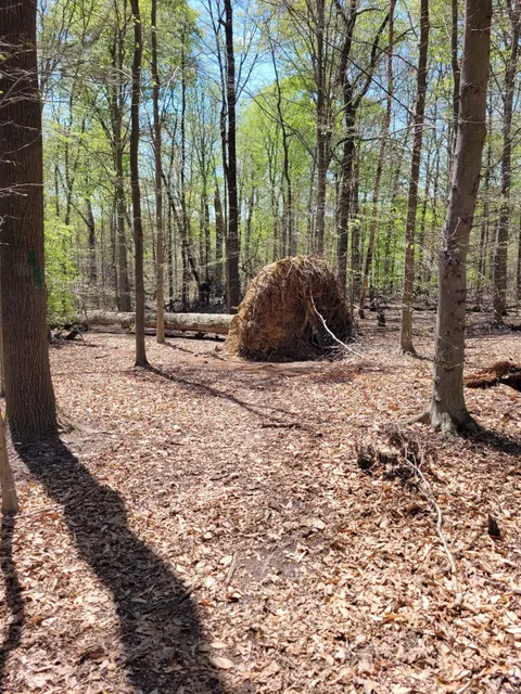 Honeygo Run Regional Park and Community Center
