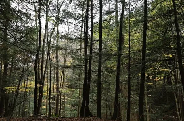 Dillon Wildlife Area