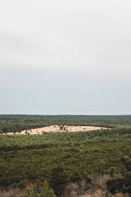 Vecekrugas Dune