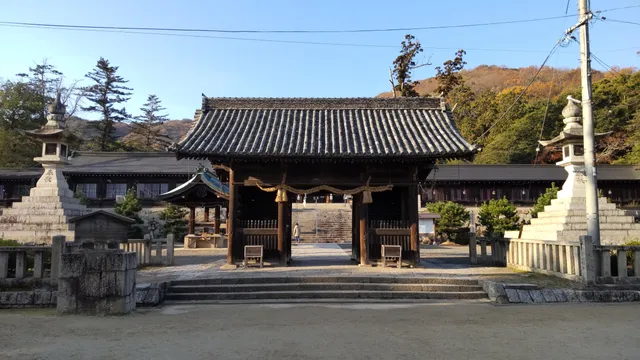 photo-1
