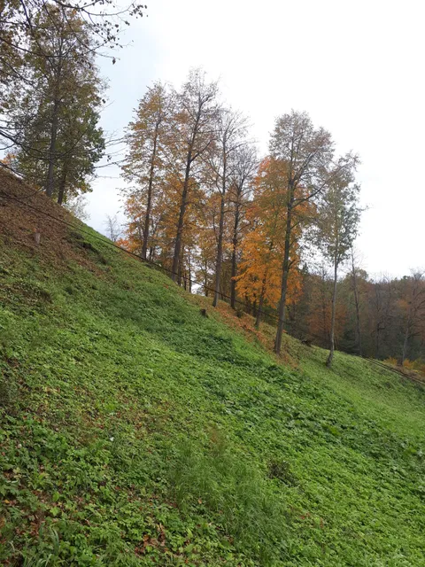 Burbaiciu mound