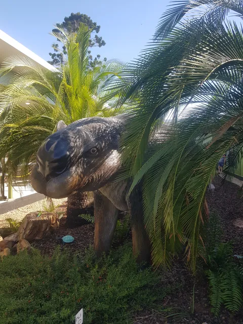 55 Million Years Ago