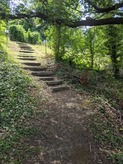 Garthorne Road Nature Reserve