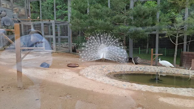 Ulsan Grand Park Zoo