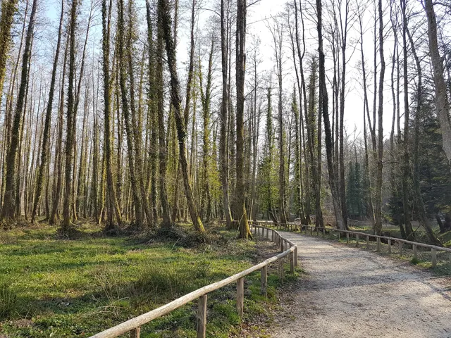 Museo Orto Botanico Villa Bonitas
