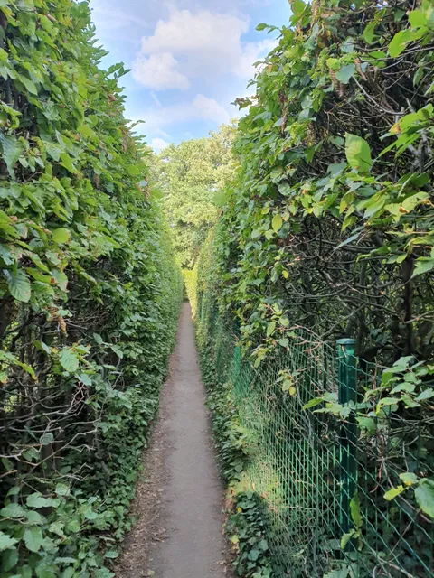 Irrgarten Altjeßnitz