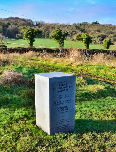 Diamond Jubilee Wood